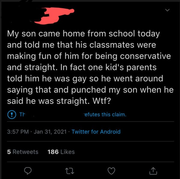 australia fire twitter meme - My son came home from school today and told me that his classmates were making fun of him for being conservative and straight. In fact one kid's parents told him he was gay so he went around saying that and punched my son whe