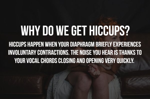 photo caption - Why Do We Get Hiccups? Hiccups Happen When Your Diaphragm Briefly Experiences Involuntary Contractions. The Noise You Hear Is Thanks To Your Vocal Chords Closing And Opening Very Quickly.