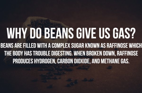 sky - Why Do Beans Give Us Gas? Beans Are Filled With A Complex Sugar Known As Raffinose Which The Body Has Trouble Digesting. When Broken Down, Raffinose Produces Hydrogen, Carbon Dioxide, And Methane Gas.