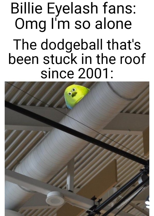 kickball stuck in ceiling meme - Billie Eyelash fans Omg I'm so alone The dodgeball that's been stuck in the roof since 2001
