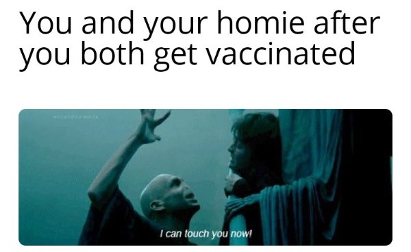 human behavior - You and your homie after you both get vaccinated I can touch you now!