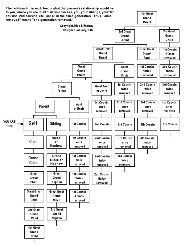 family relationship chart - The relationship in each box is what that person's relationship would be to you, where you are "Self." As you can see, you, your siblings, your 1st cousins, 2nd cousins, etc., are all in the same generation. Thus, once removed"