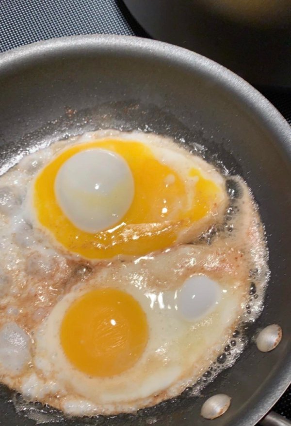 fried egg - 70.1