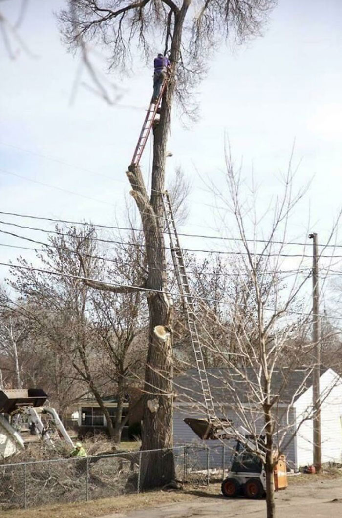 funny construction fails - skid steer ladder