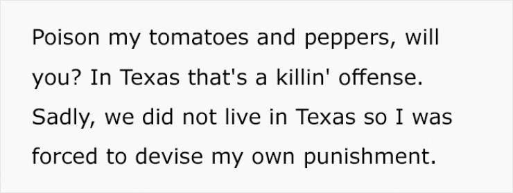 Poison my tomatoes and peppers, will you? In Texas that's a killin' offense. Sadly, we did not live in Texas so I was forced to devise my own punishment.