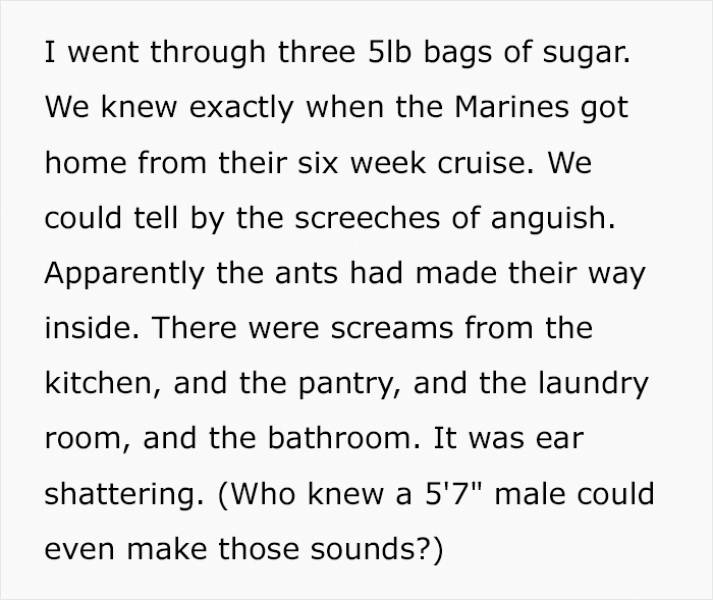 Politics - I went through three 5lb bags of sugar. We knew exactly when the Marines got home from their six week cruise. We could tell by the screeches of anguish. Apparently the ants had made their way inside. There were screams from the kitchen, and the