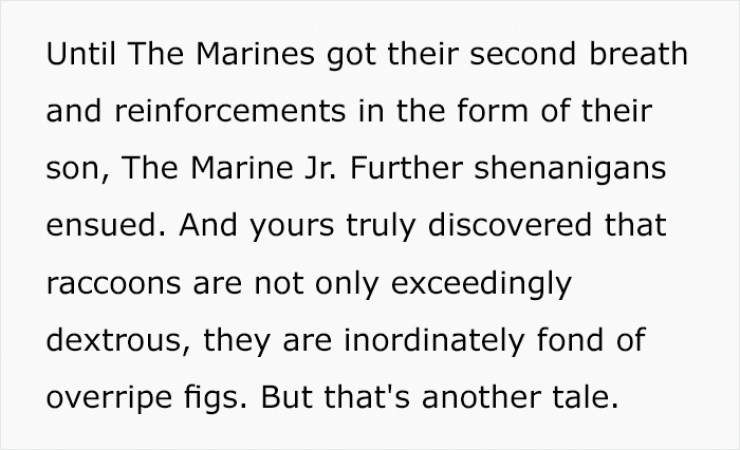 handwriting - Until The Marines got their second breath and reinforcements in the form of their son, The Marine Jr. Further shenanigans ensued. And yours truly discovered that raccoons are not only exceedingly dextrous, they are inordinately fond of overr