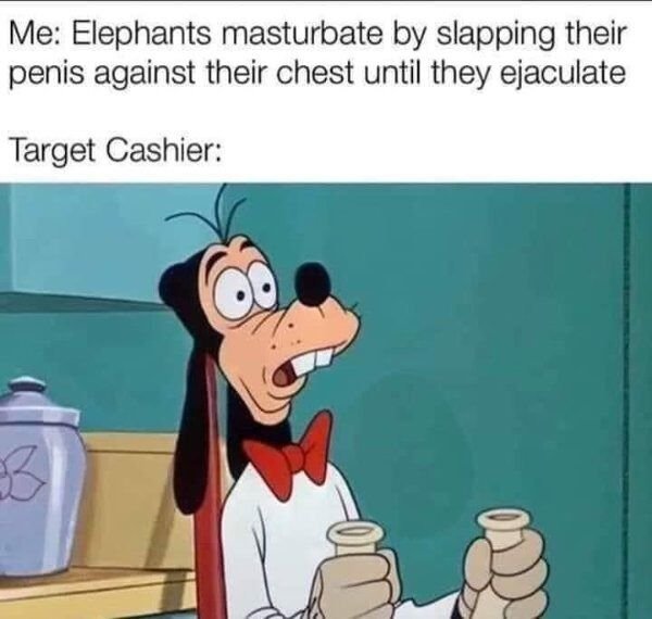 dank dark humor memes dark memes - Me Elephants masturbate by slapping their penis against their chest until they ejaculate Target Cashier B