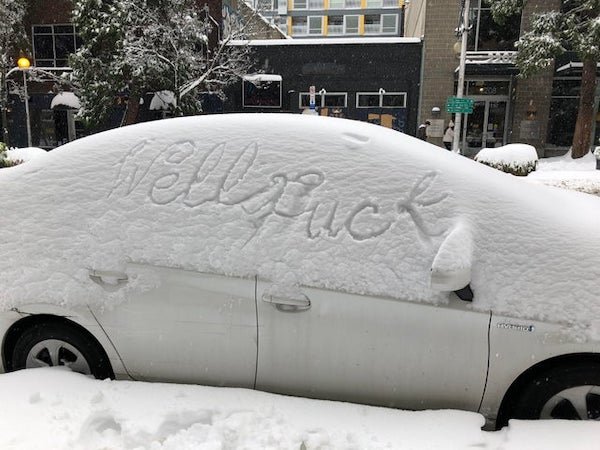 funny pics and memes - snow covered car says well fuck