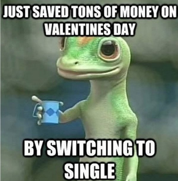funny pics and memes - Just Saved Tons Of Money On Valentines Day By Switching To Single
