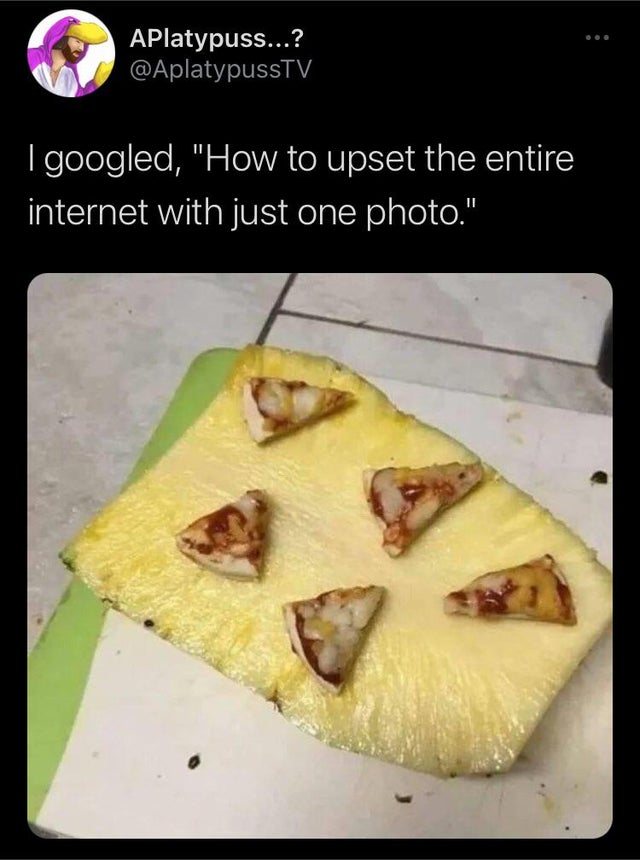 pizza on pineapple meme - APlatypuss...? I googled, "How to upset the entire internet with just one photo."