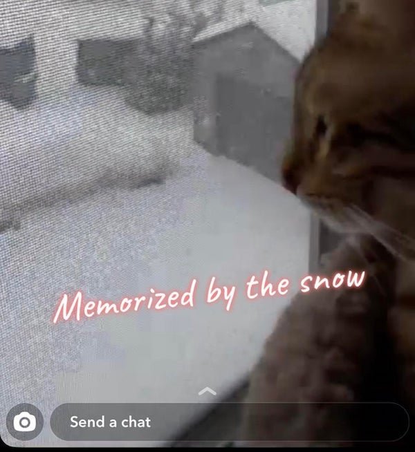 photo caption - Memorized by the snow Send a chat