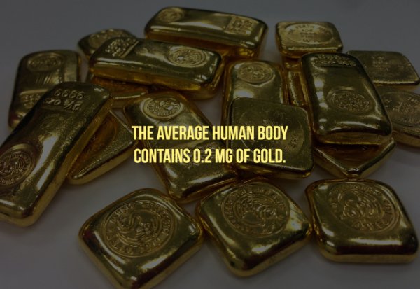 6666 The Average Human Body Contains O.2 Mg Of Gold.