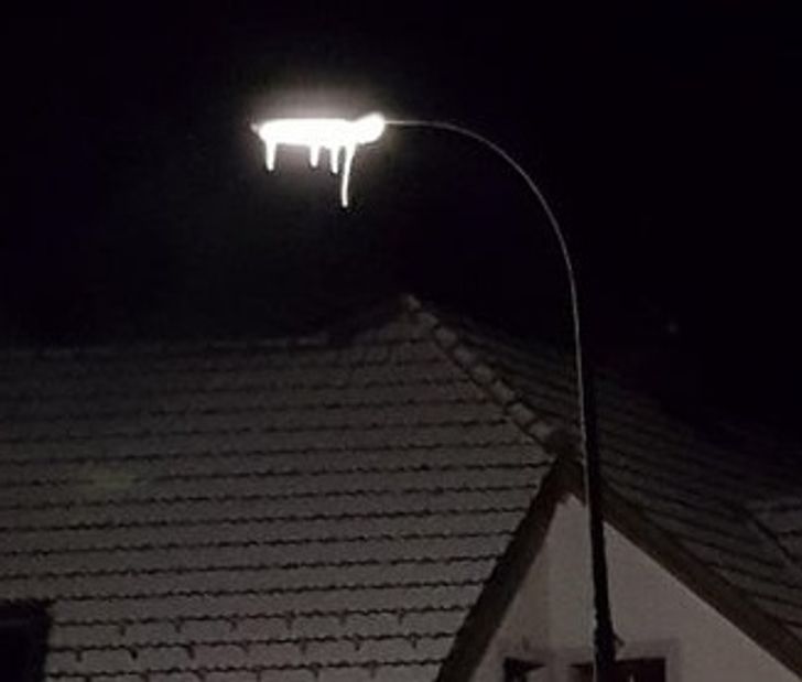 “The ice on this street lamp makes it look like the light is dripping out.”