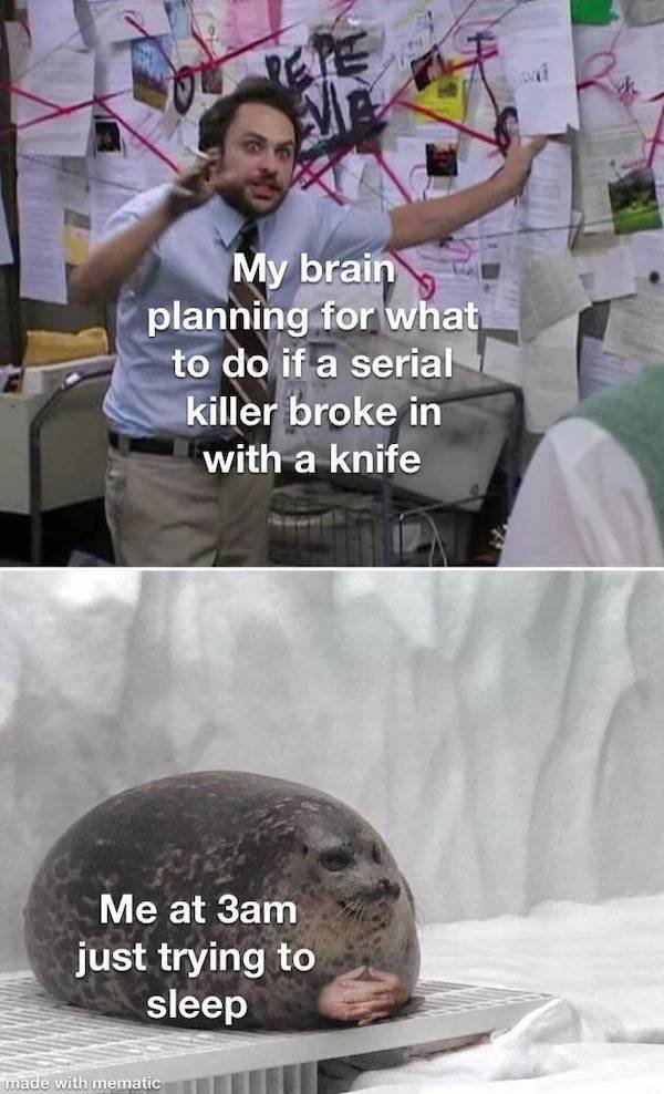 explaining to seal meme template - My brain planning for what to do if a serial killer broke in with a knife Me at 3am just trying to sleep made with mematic
