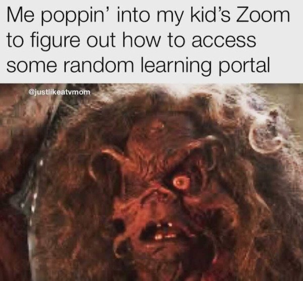 snout - Me poppin' into my kid's Zoom to figure out how to access some random learning portal