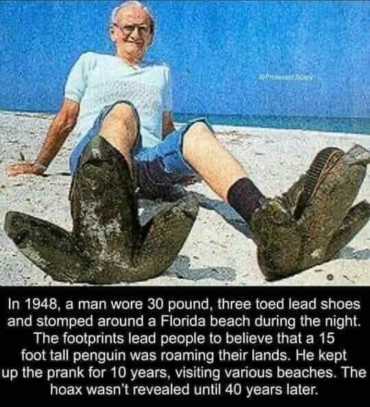 funny memes - giant penguin hoax - oblonso Scat In 1948, a man wore 30 pound, three toed lead shoes and stomped around a Florida beach during the night. The footprints lead people to believe that a 15 foot tall penguin was roaming their lands. He kept up 