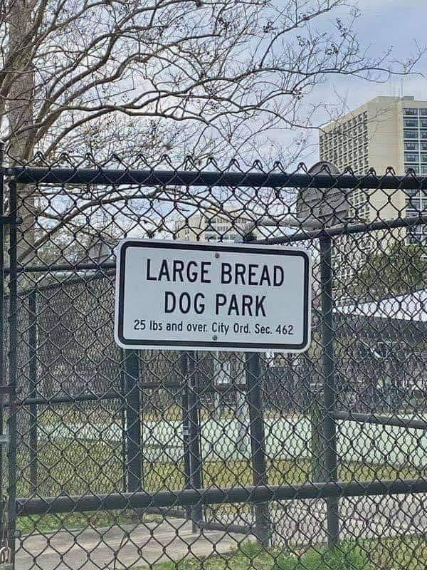 funny pics - Large Bread Dog Park