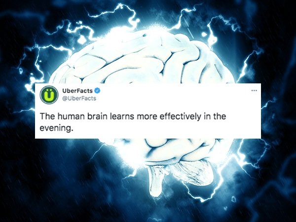 cool facts - The human brain learns more effectively in the evening.