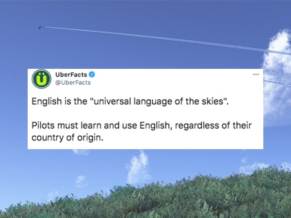 cool facts - English is the universal language of the skies. pilots must learn and use english, regardless of their country of origin