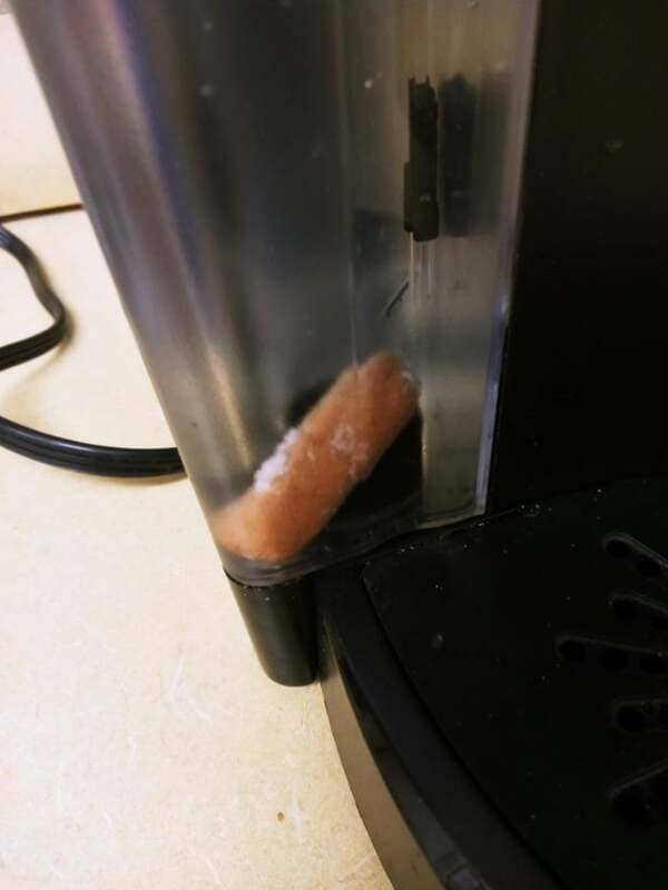 I was going to get a crappy cup of coffee on my 10-minute break but someone put a mini weenie in the Keurig.