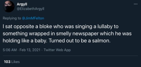 funny public transit stories - I sat opposite a bloke who was singing a lullaby to something wrapped in smelly newspaper which he was holding a baby. Turned out to be a salmon.