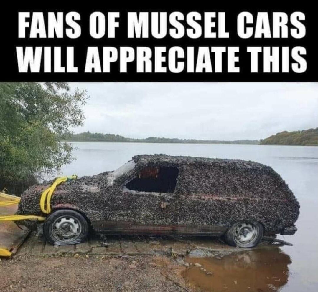 mussel car - Fans Of Mussel Cars Will Appreciate This