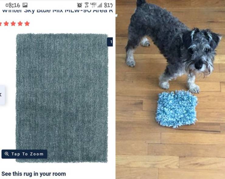 dog - Gall 819 Wilei ony Due Mia MilwYu Milan 1 Tap To Zoom See this rug in your room