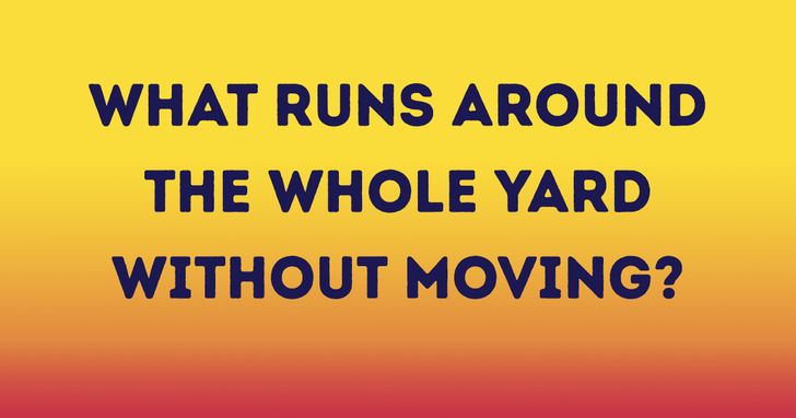 riddles and jokes - angle - What Runs Around The Whole Yard Without Moving?