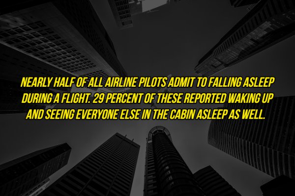 architecture - Nearly Half Of All Airline Pilots Admit To Falling Asleep During A Flight. 29 Percent Of These Reported Waking Up And Seeing Everyone Else In The Cabin Asleep As Well.