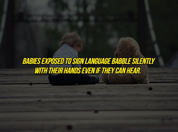 photo caption - Babies Exposed To Sign Language Babble Silently With Their Hands Even If They Can Hear.