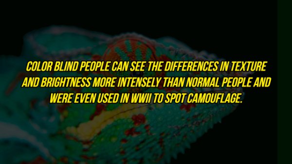 nature - Color Blind People Can See The Differences In Texture And Brightness More Intensely Than Normal People And Were Even Used In Wwii To Spot Camouflage.