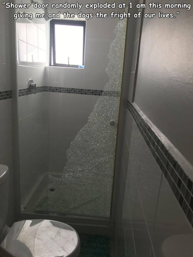 tile - "Shower door randomly exploded at 1 am this morning giving me and the dogs the fright of our lives."