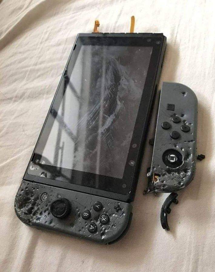 dog chewed nintendo switch - co