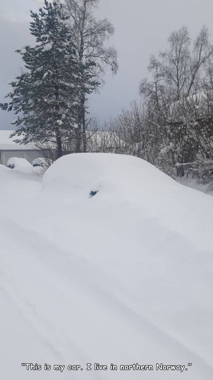 snow - "This is my car. I live in northern Norway."