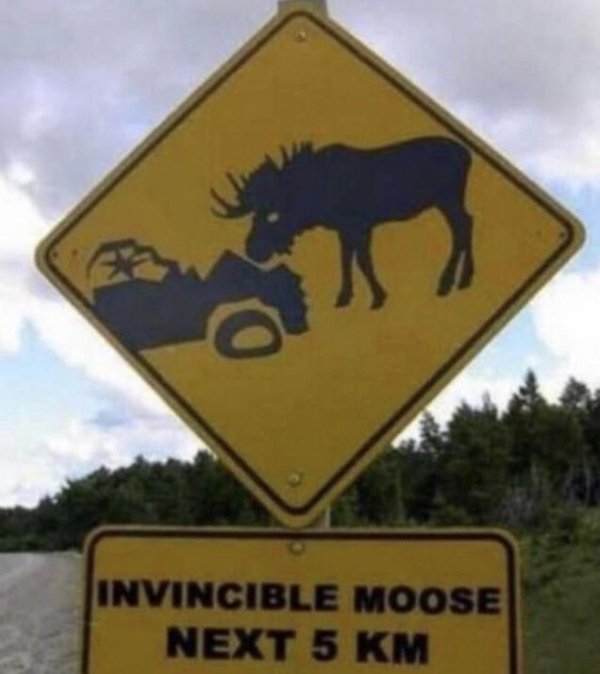 funny pics - invincible moose ahead - Invincible Moose Next 5 Km