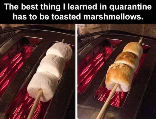 funny pics - food hacks - The best thing I learned in quarantine has to be toasted marshmellows.