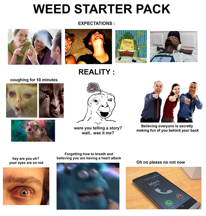 human behavior - Weed Starter Pack Expectations On Reality coughing for 10 minutes were you telling a story? wait.. was it me? Believing everyone is secretly making fun of you behind your back hey are you ok? your eyes are so red Forgetting how to breath 