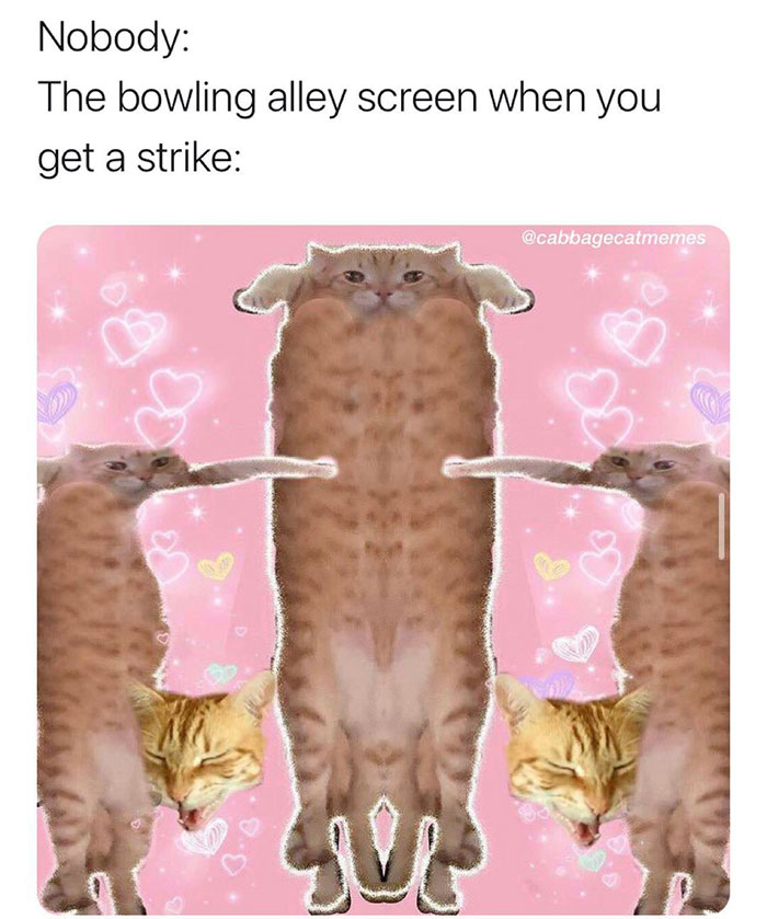 kitten - Nobody The bowling alley screen when you get a strike o c