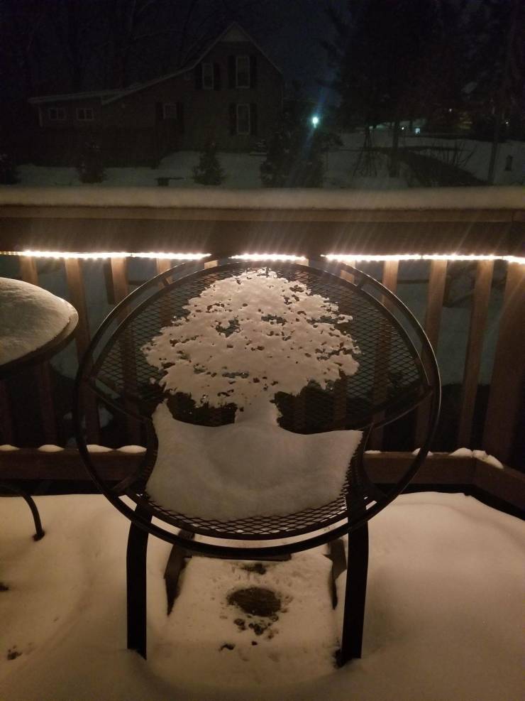 fascinating photos - The pattern of snow left on this chair looks like a tree.
