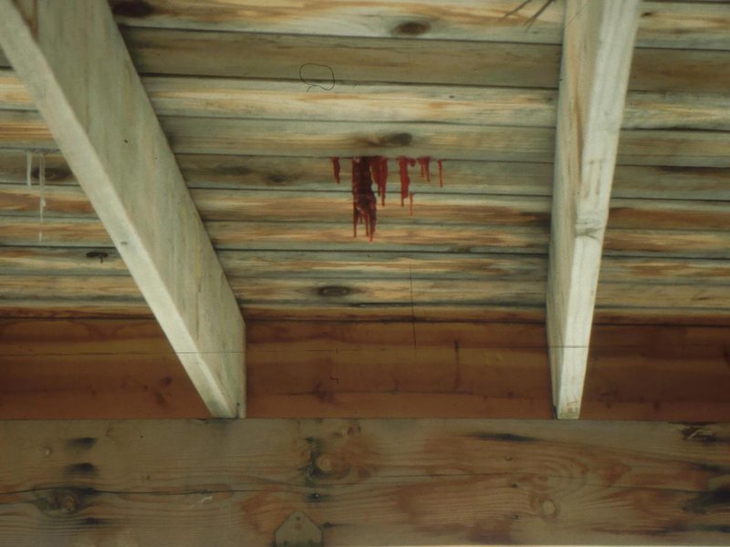 The haunting image of the Tiede family crime scene that awaited law enforcement upstairs. Two family members were killed on the upper floor of the cabin by home invaders. There was so much blood it drenched the carpet and pooled on the wood blanks underneath, which then froze into bloody icicles