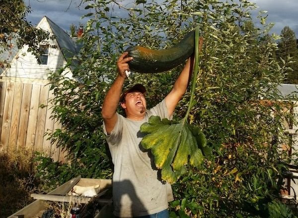 funny pics - man holding giant zuccini