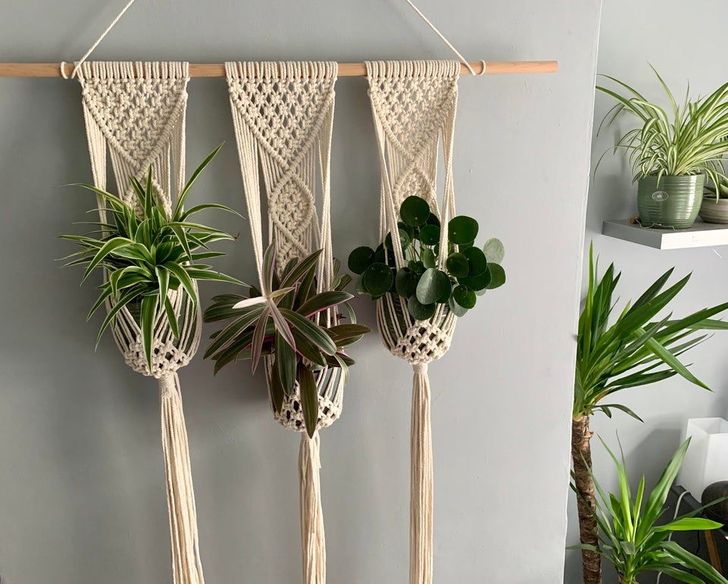 “I had some bad luck recently which resulted in me ending up back at my parent’s house. I didn’t have much room for plants so I decided to get creative!”