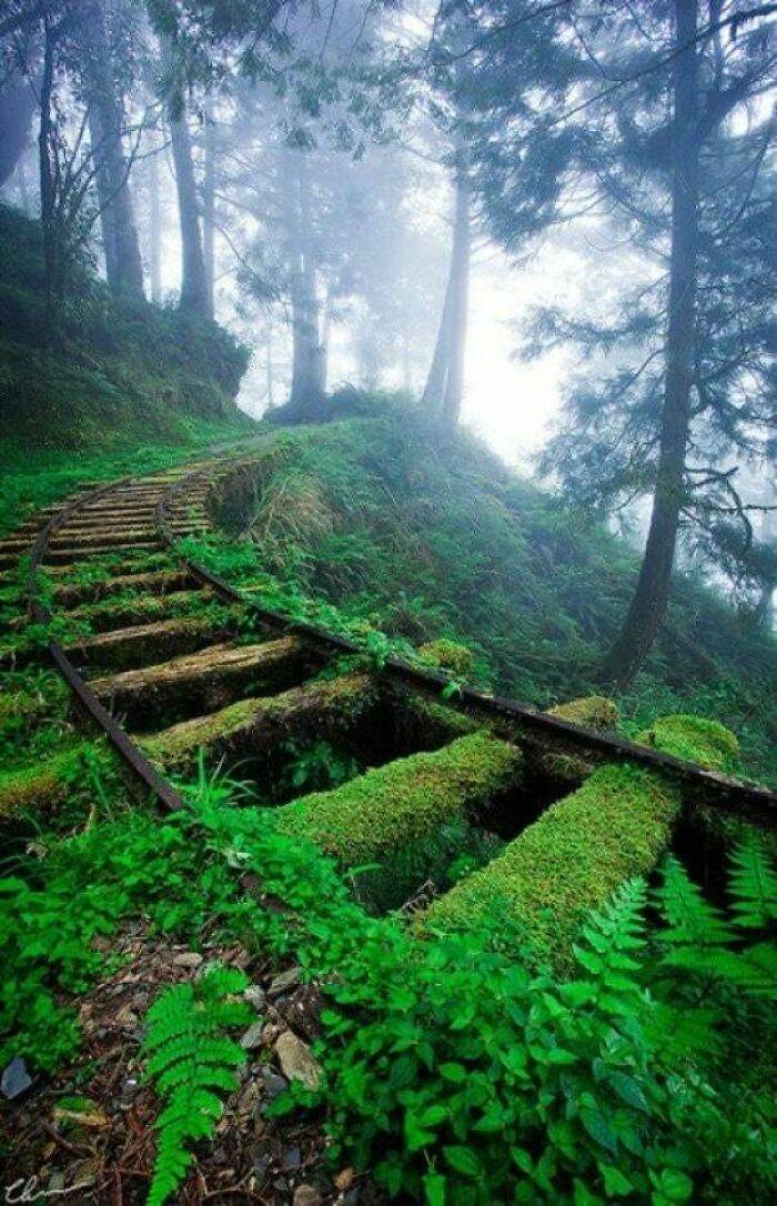 abandoned railroad pittsburgh pa