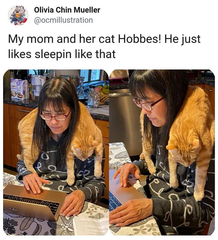 pet - Olivia Chin Mueller My mom and her cat Hobbes! He just sleepin that