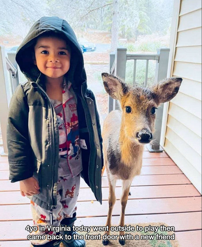 deer - Rud 4yo in Virginia today went outside to play then came back to the front door with a new friend