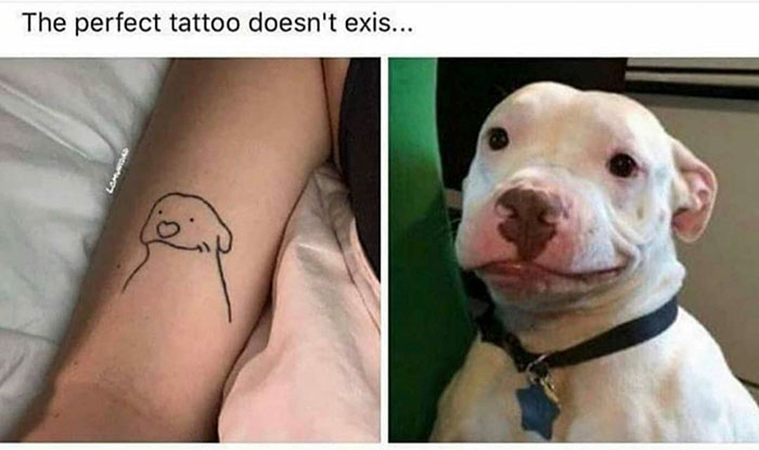 funny dog tattoo meme - The perfect tattoo doesn't exis...