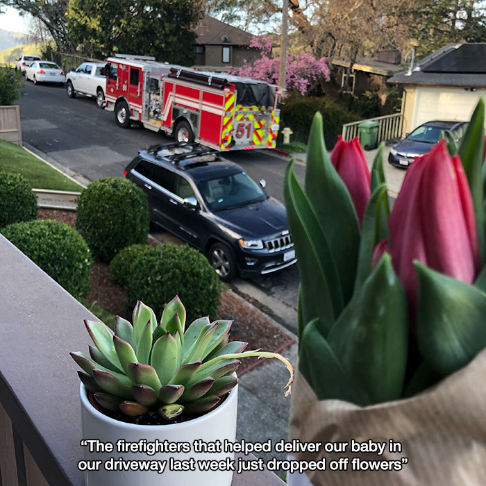 car - 513 "The firefighters that helped deliver our baby in our driveway last week just dropped off flowers