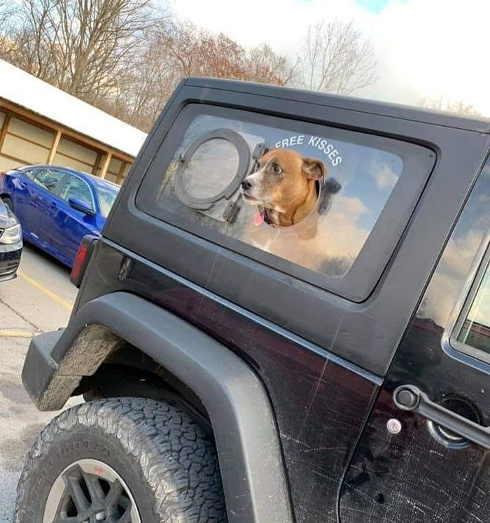 free kisses jeep - Gree Kisses