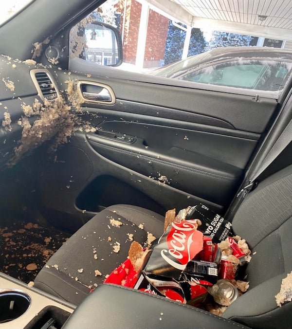 funny fail pics - exploded frozen soda inside car